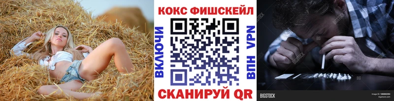 Купить закладки  Лабытнанги  COCAIN Эквадор 