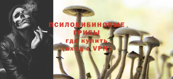 ALPHA-PVP Инсар