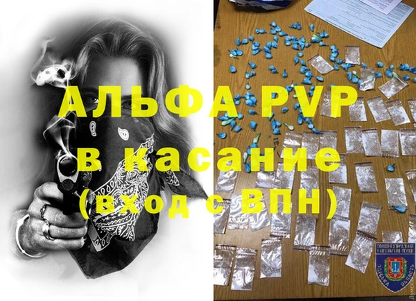 PSILOCYBIN Иннополис