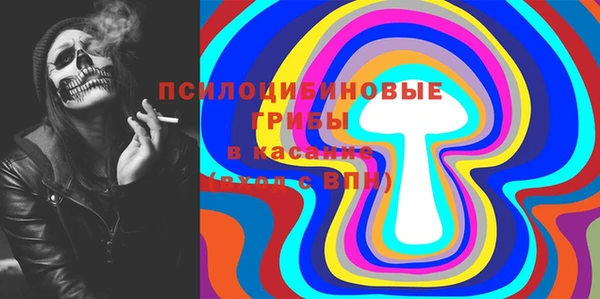 ALPHA-PVP Инсар