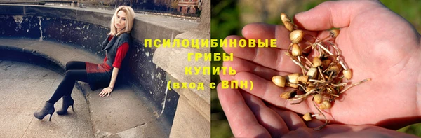 PSILOCYBIN Иннополис