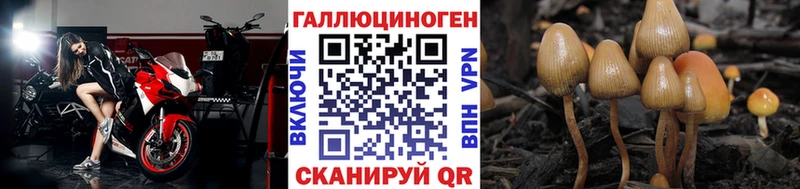 Купить  Лабытнанги  Галлюциногенные грибы MAGIC MUSHROOMS 